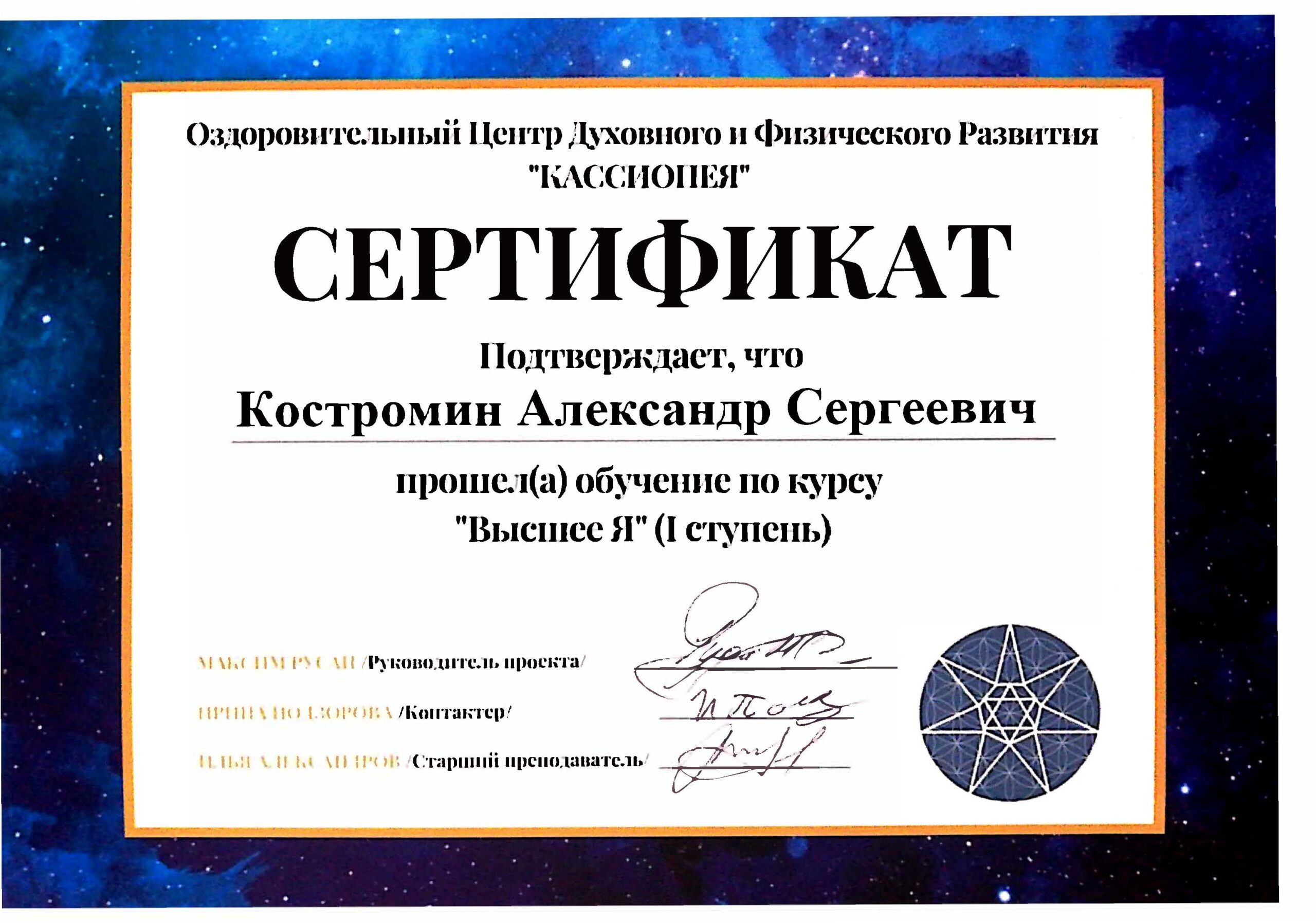 Сертификат. Высшее Я. Костромин А.С.